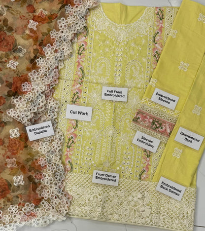 MAHNUR DAISY 24AB Chikankari Suit