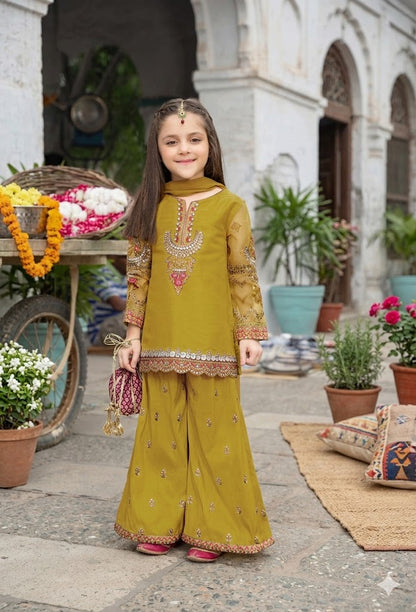 Luxury Embroidered 3PC Kids Outfit