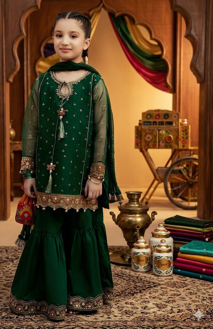 Embroidered Lawn Wear 3PCs Suit