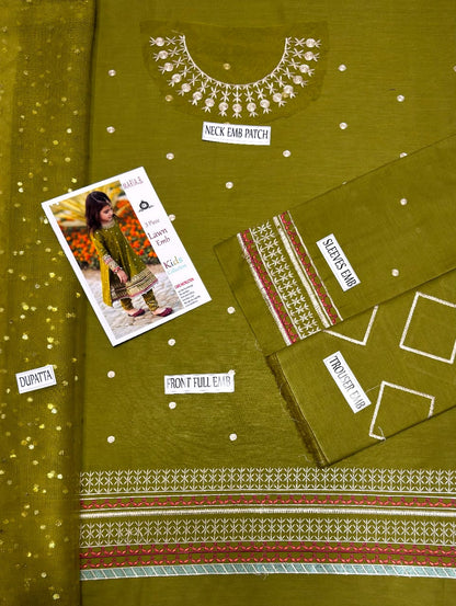 Kids Embroidered 3PC Suit